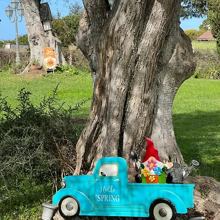 Rome Countryside Luxury Casale Centocorvi Con Parco E Piscina * Marina di Cerveteri